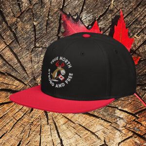 Elbows Up 2025 CANADA - True North Strong And Free Snapback Embroidered Hat